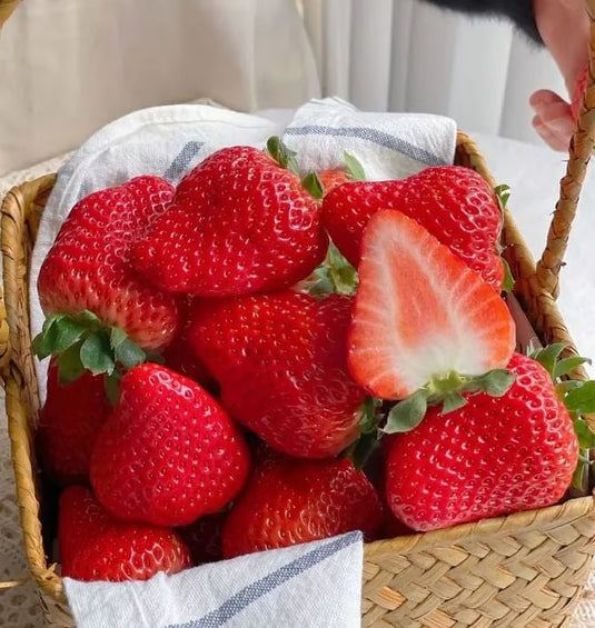200 SEMILLAS DE FRESAS GIGANTES + GUIA PASO A PASO PARA CULTIVAR