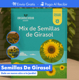 100 SEMILLAS DE GIRASOL + GUIA PASO A PASO PARA CULTIVAR