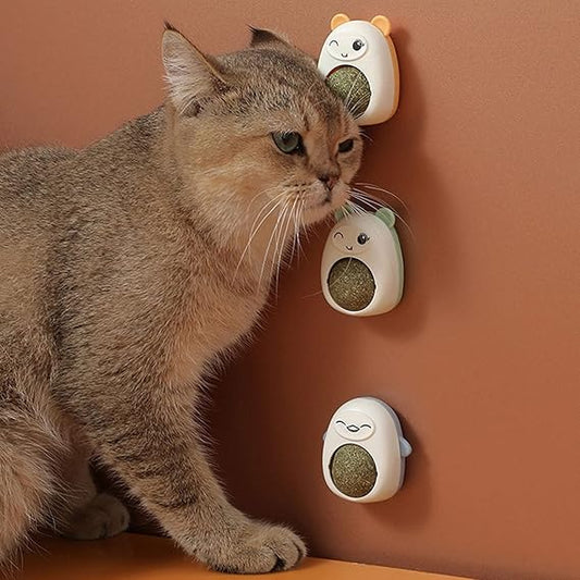 PROMO 2x1 Catnip Ball Juguete para Gato de Hierba Natural