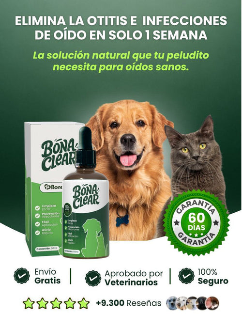 🐶💧 ELIMINA LA OTITIS E INFECCIONES DE OÍDO EN SOLO 1 SEMANA ⏳👂