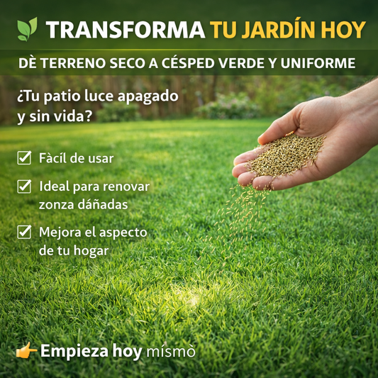 100 Semilla Premium Césped | Renueva Tu Jardín Fácilmente y Dale Vida a Tu Espacio Exterior