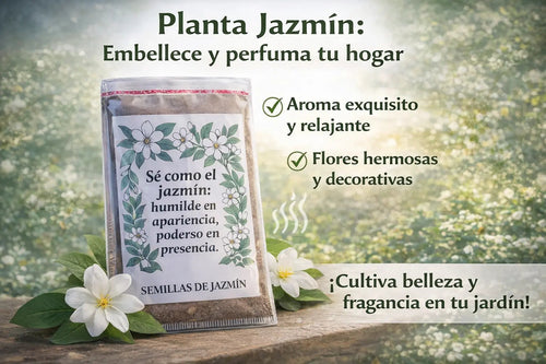 🌿 Siembra tu Propio Jazmín en Casa: Disfruta Flores Aromáticas y Naturales 🌿 100 Semillas de Jazmín Aromáticas + GUIA PASO A PASO PARA CULTIVAR 📗