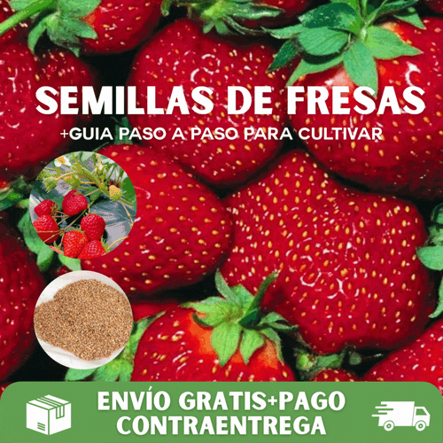 200 SEMILLAS DE FRESAS GIGANTES + GUIA PASO A PASO PARA CULTIVAR