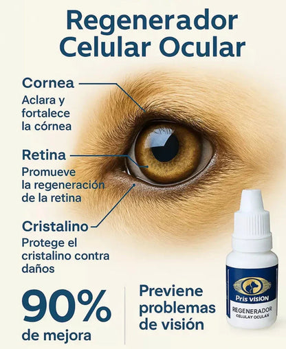 PETS VISION | Porque sus ojitos lo dicen todo