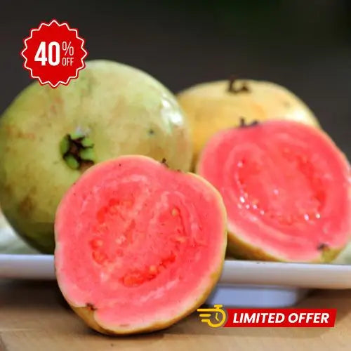 100 SEMILLAS DE TU ARBOL TROPICAL DE GUAYABA ROJA ORGANICA + GUIA PASO A PASO PARA CULTIVAR TIKTOK