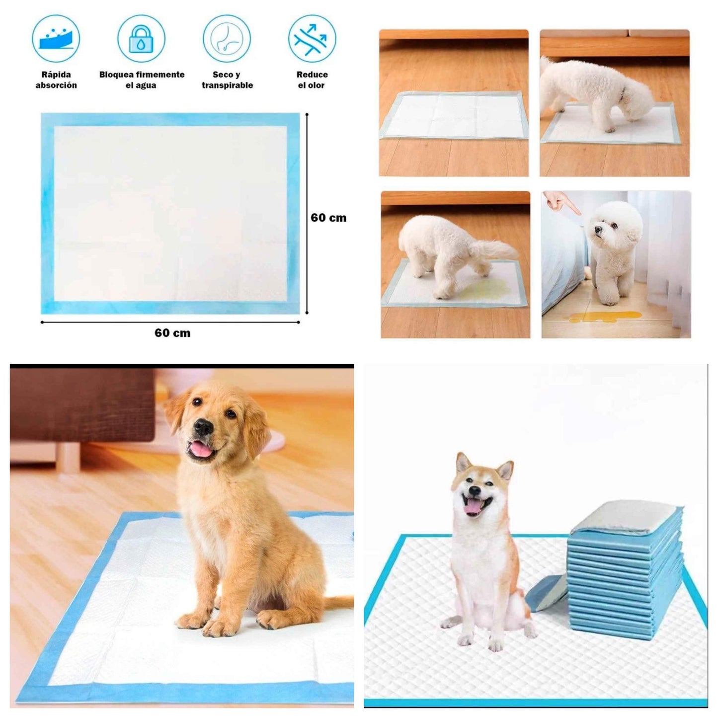 Pañal de Entrenamiento