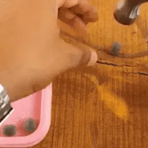 🌳SEMILLAS ASIÁTICAS PREMIUM : FLOR DE LOTO™ + E-BOOK PASO A PASO PARA CULTIVAR