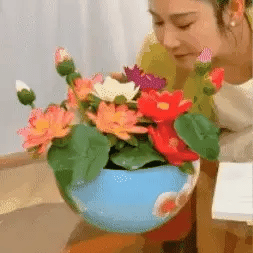 🌳SEMILLAS ASIÁTICAS PREMIUM : FLOR DE LOTO™ + E-BOOK PASO A PASO PARA CULTIVAR