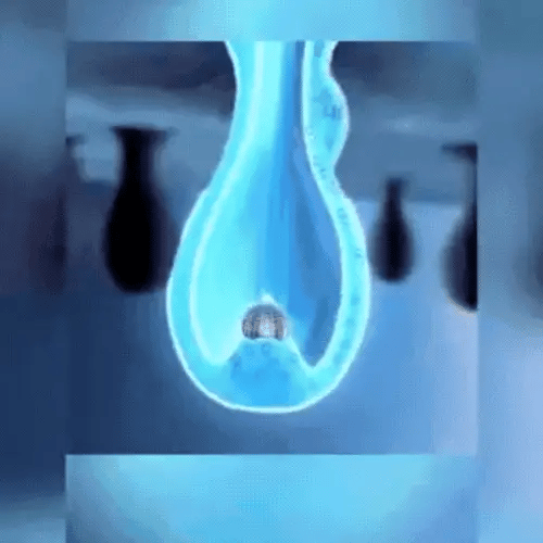 RenovaCapil™ Bloqueador de DHT | Adiós a la caída! Y recupera tu cabello en tan solo 4 Semanas