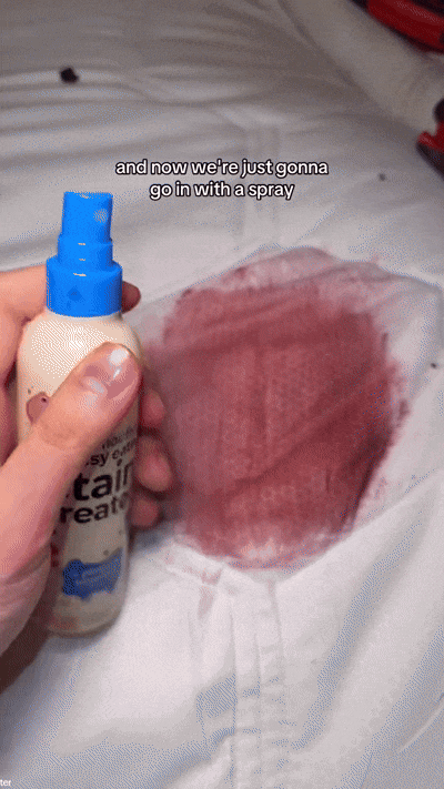 Adios Manchas | Stain Treater