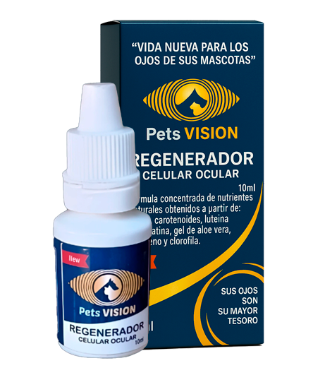 PETS VISION | Porque sus ojitos lo dicen todo