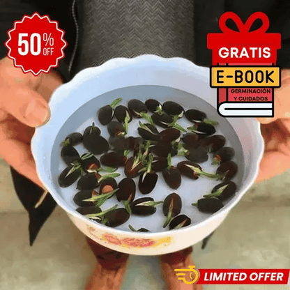 🌳SEMILLAS ASIÁTICAS PREMIUM : FLOR DE LOTO™ + E-BOOK PASO A PASO PARA CULTIVAR